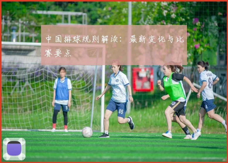 中国排球规则解读：最新变化与比赛要点