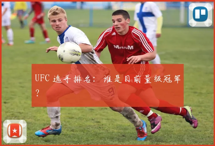 UFC 选手排名:谁是目前量级冠军?