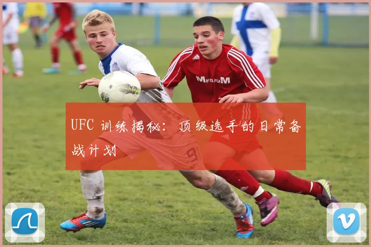 UFC 训练揭秘:顶级选手的日常备战计划